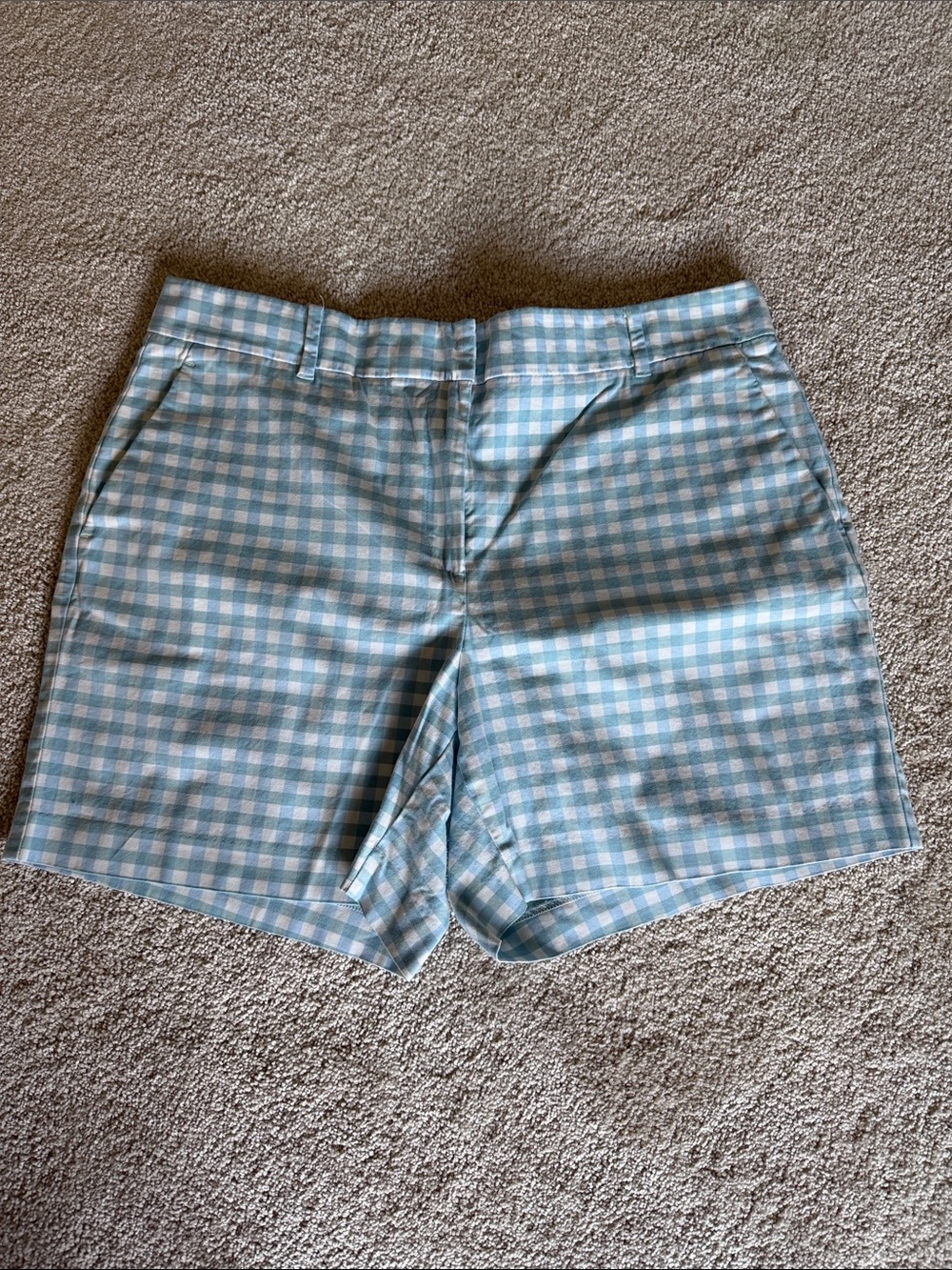 Ann Taylor shorts